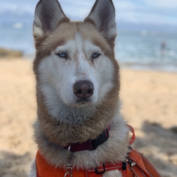 Meet your Posher, Christine - Picture 5 of 5